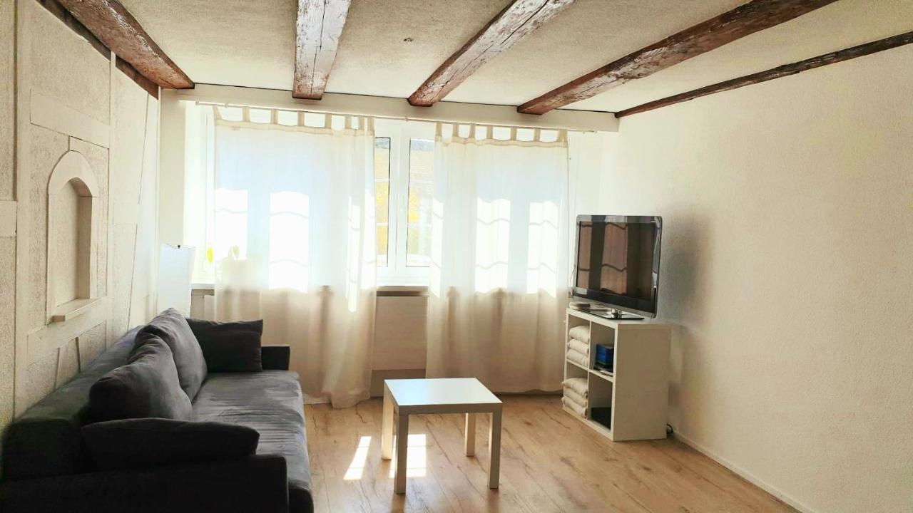Cozy Apartment Close To Zurich Airport And City Oberglatt Exteriér fotografie