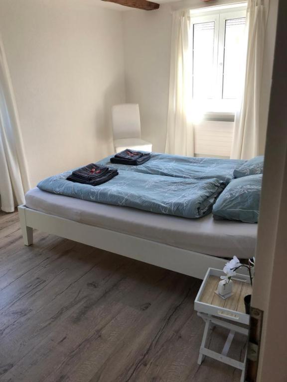 Cozy Apartment Close To Zurich Airport And City Oberglatt Exteriér fotografie