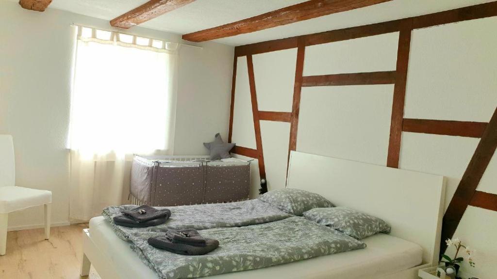 Cozy Apartment Close To Zurich Airport And City Oberglatt Exteriér fotografie