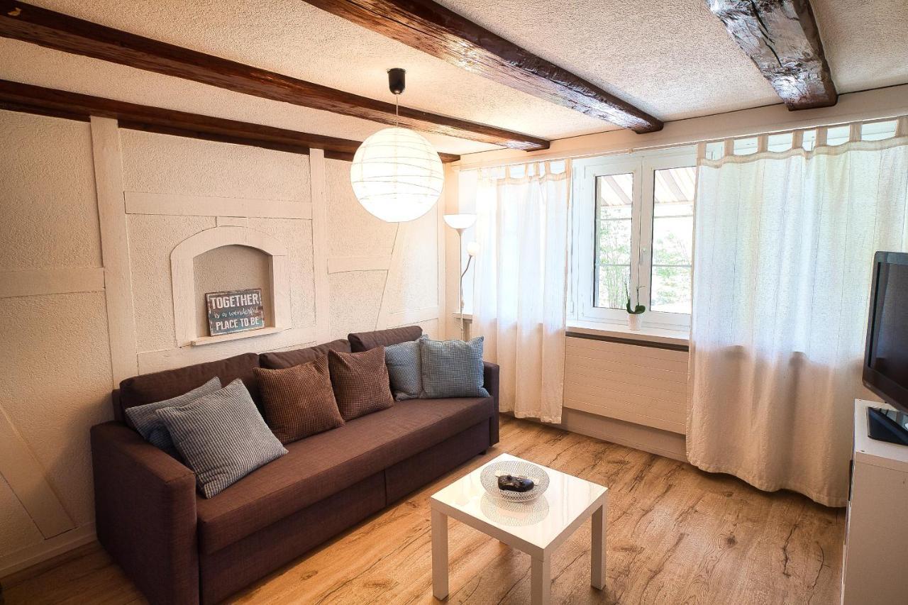 Cozy Apartment Close To Zurich Airport And City Oberglatt Exteriér fotografie