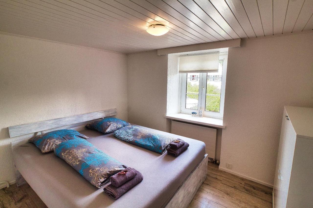 Cozy Apartment Close To Zurich Airport And City Oberglatt Exteriér fotografie