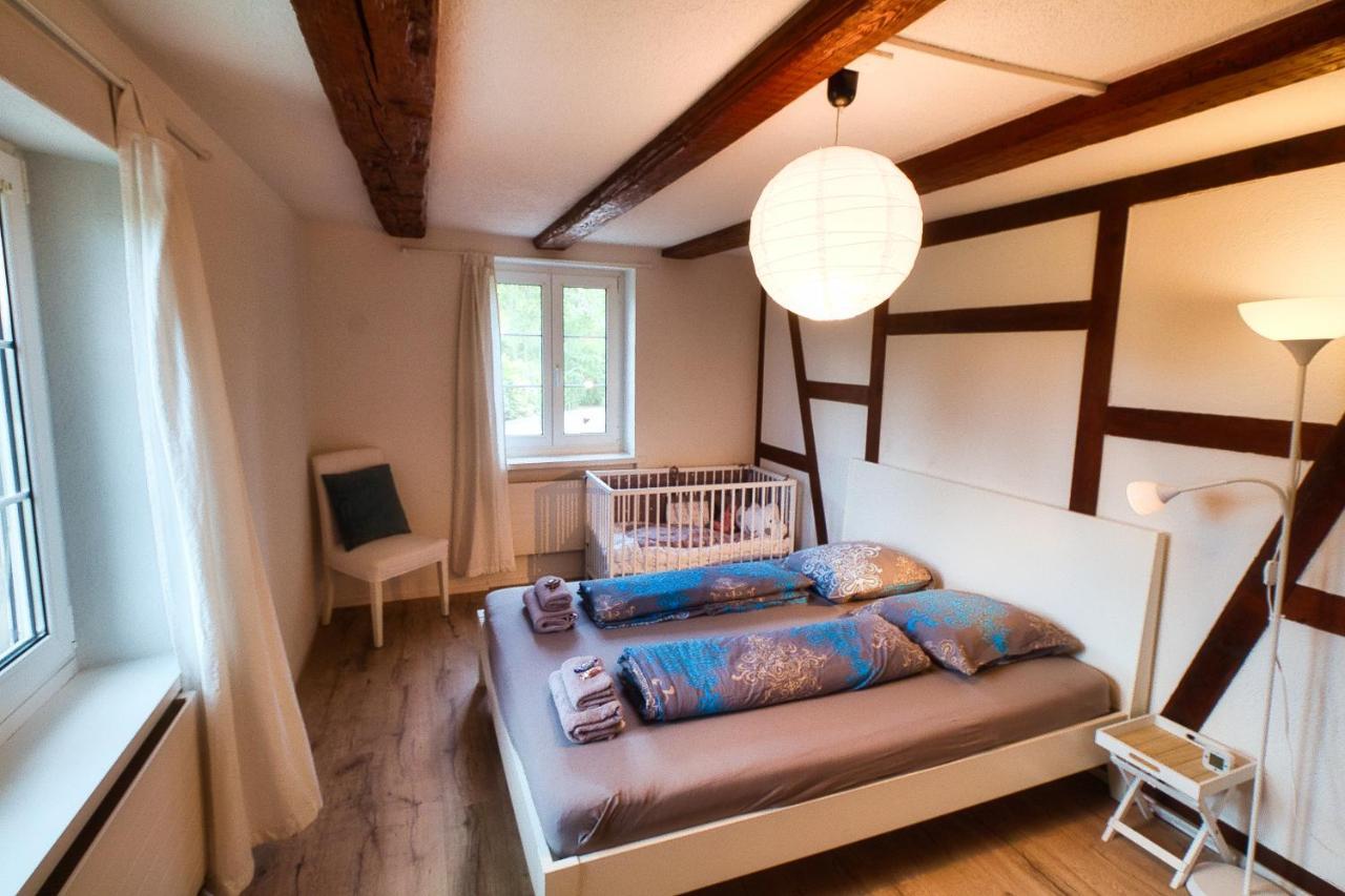 Cozy Apartment Close To Zurich Airport And City Oberglatt Exteriér fotografie