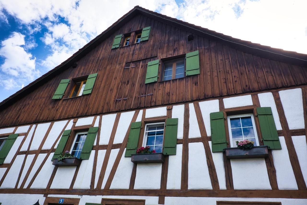 Cozy Apartment Close To Zurich Airport And City Oberglatt Exteriér fotografie
